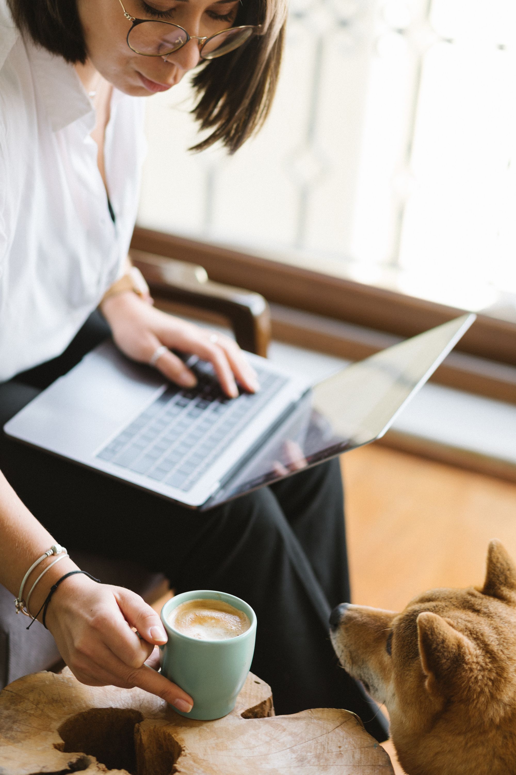 Allow pets at the workplace